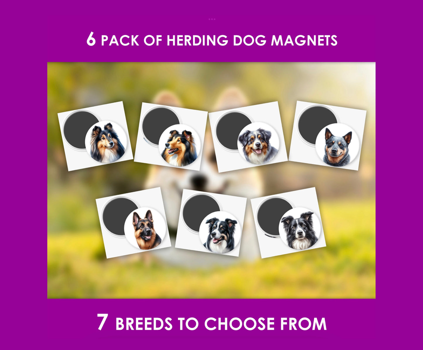 Herding Dog Magnets: 6 pack (7 breeds to choose from) Secure Memories with Canine Charm!